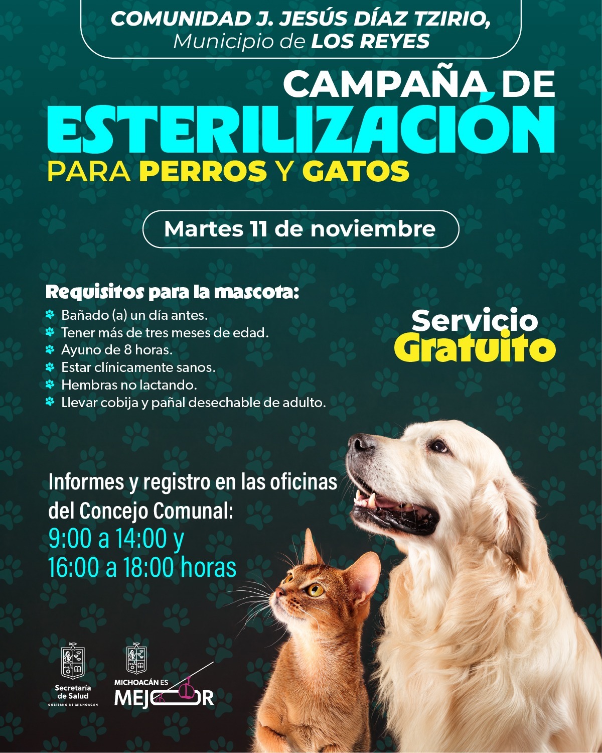 Llega jornada gratuita de esterilización animal a comunidad de autogobierno en Los Reyes: SSM