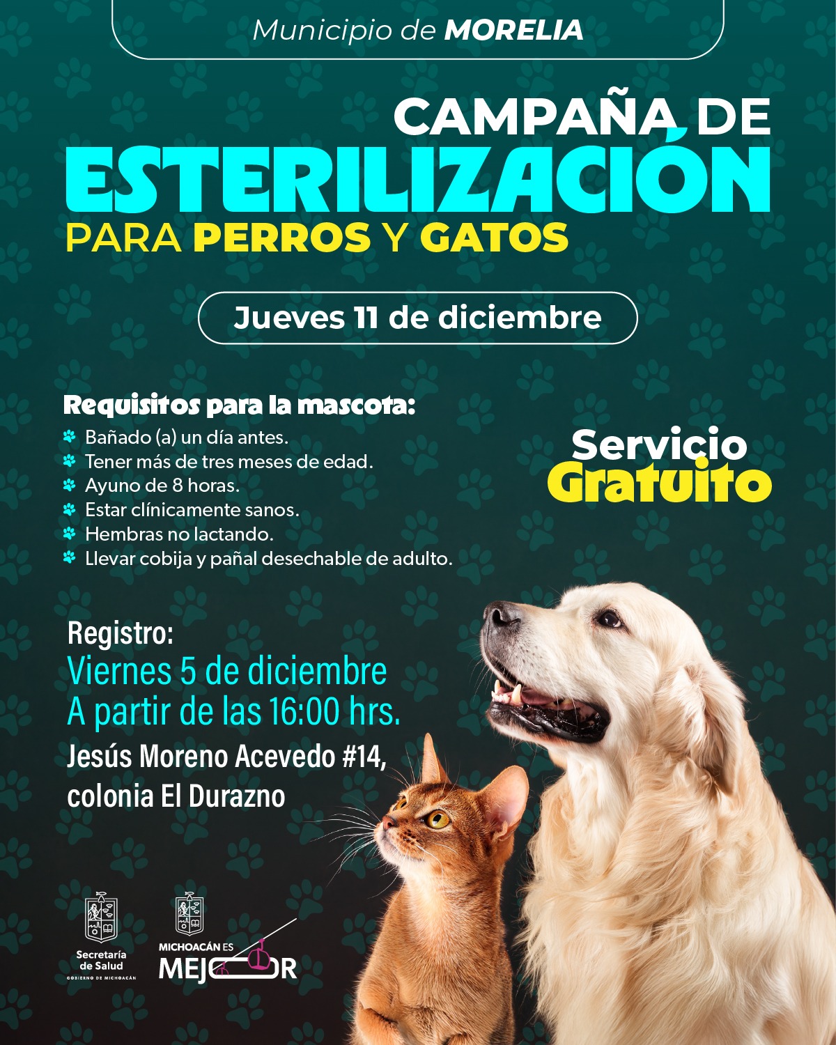 SSM realizará jornada gratuita de esterilización para perros y gatos en Morelia
