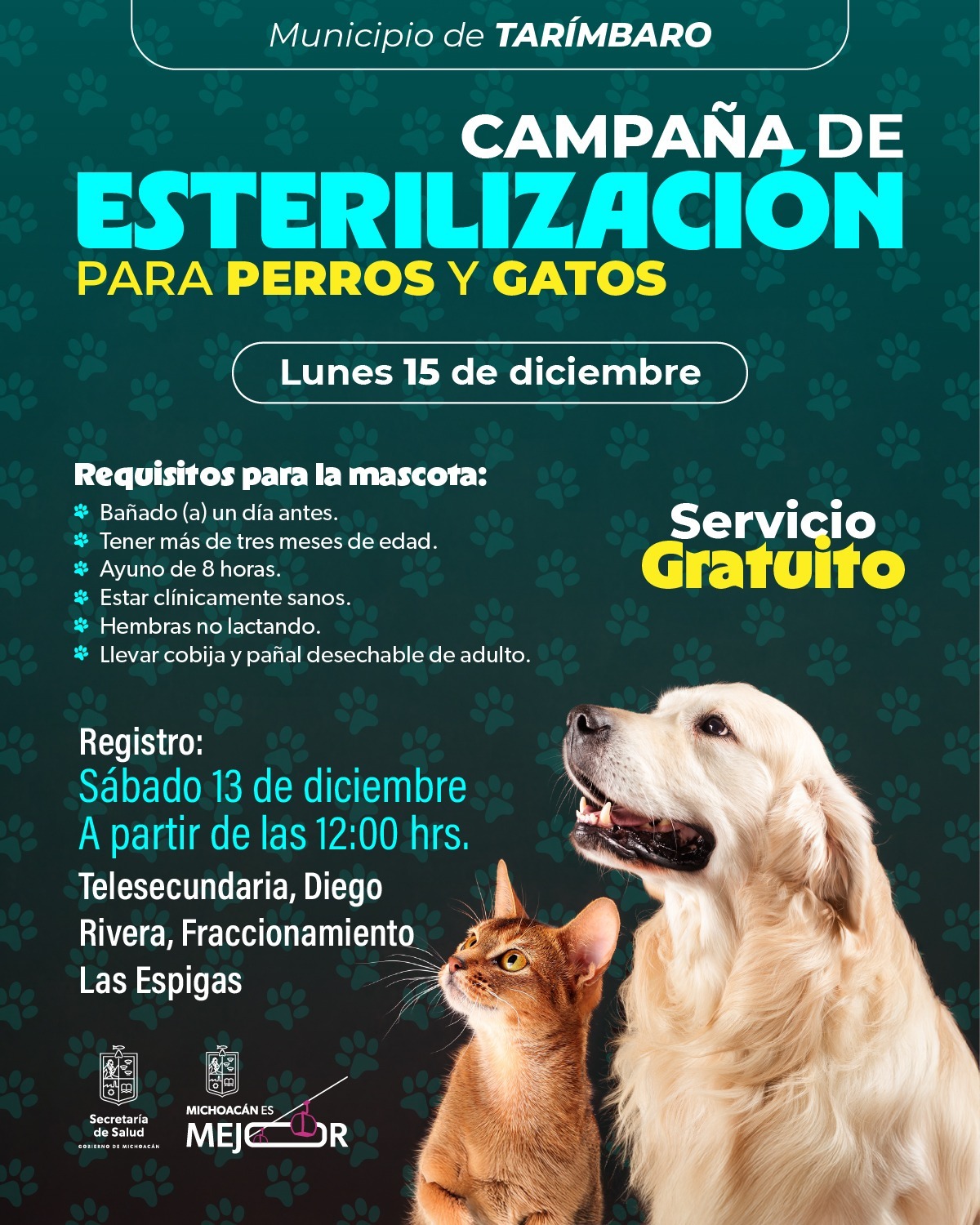 SSM invita a jornada de esterilización animal gratuita en Tarímbaro