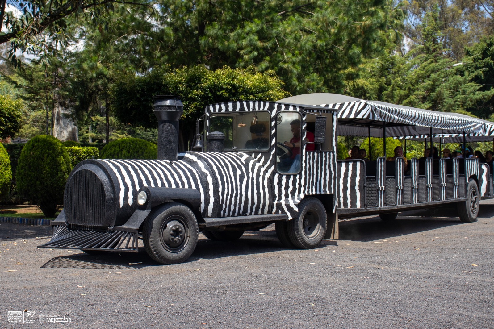 ¡Vive unas vacaciones inolvidables en el Zoológico de Morelia!
