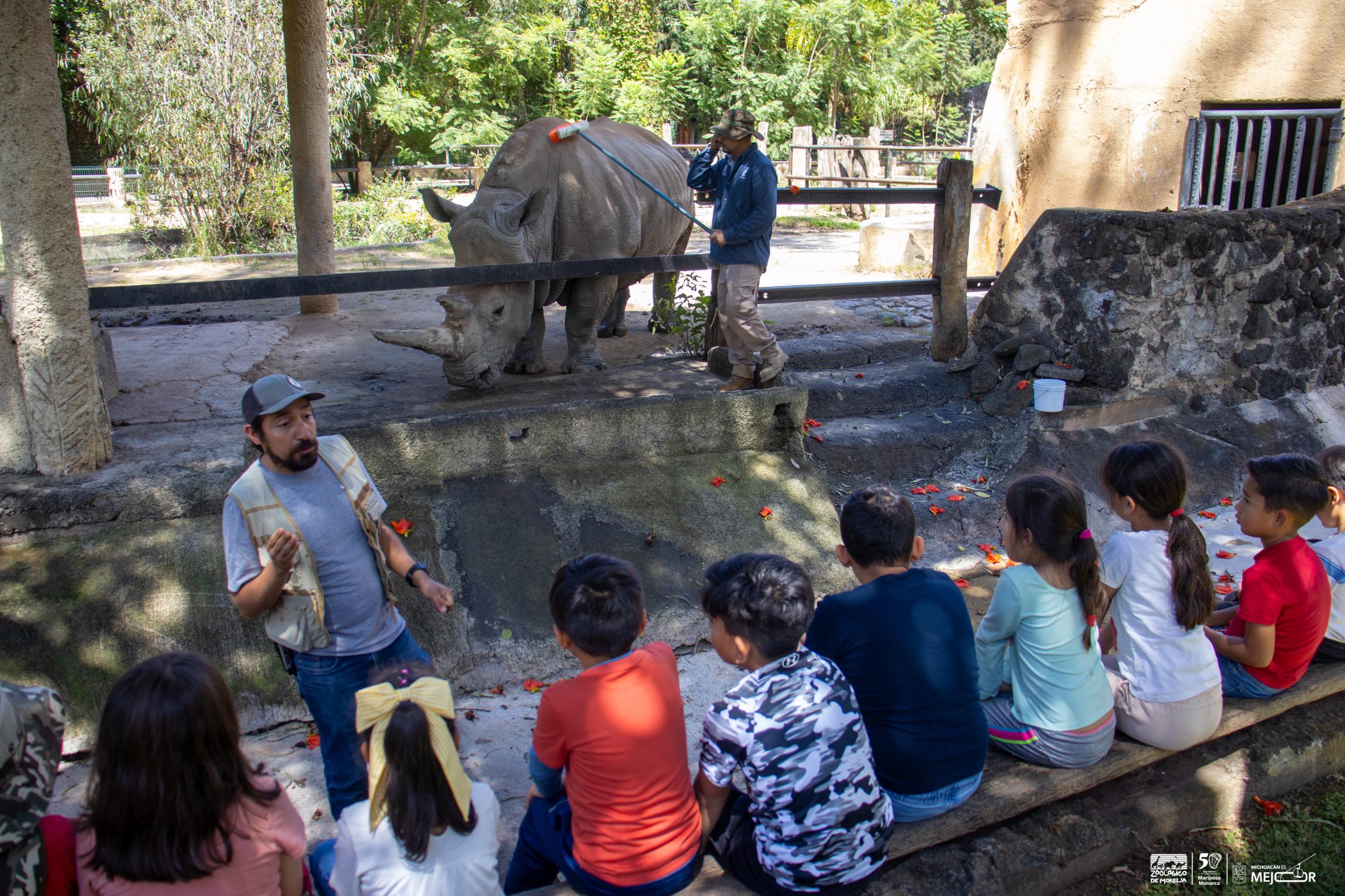 Aprende con el elefante Chamberú, el Zoológico de Morelia te invita a Un día en el aula viva