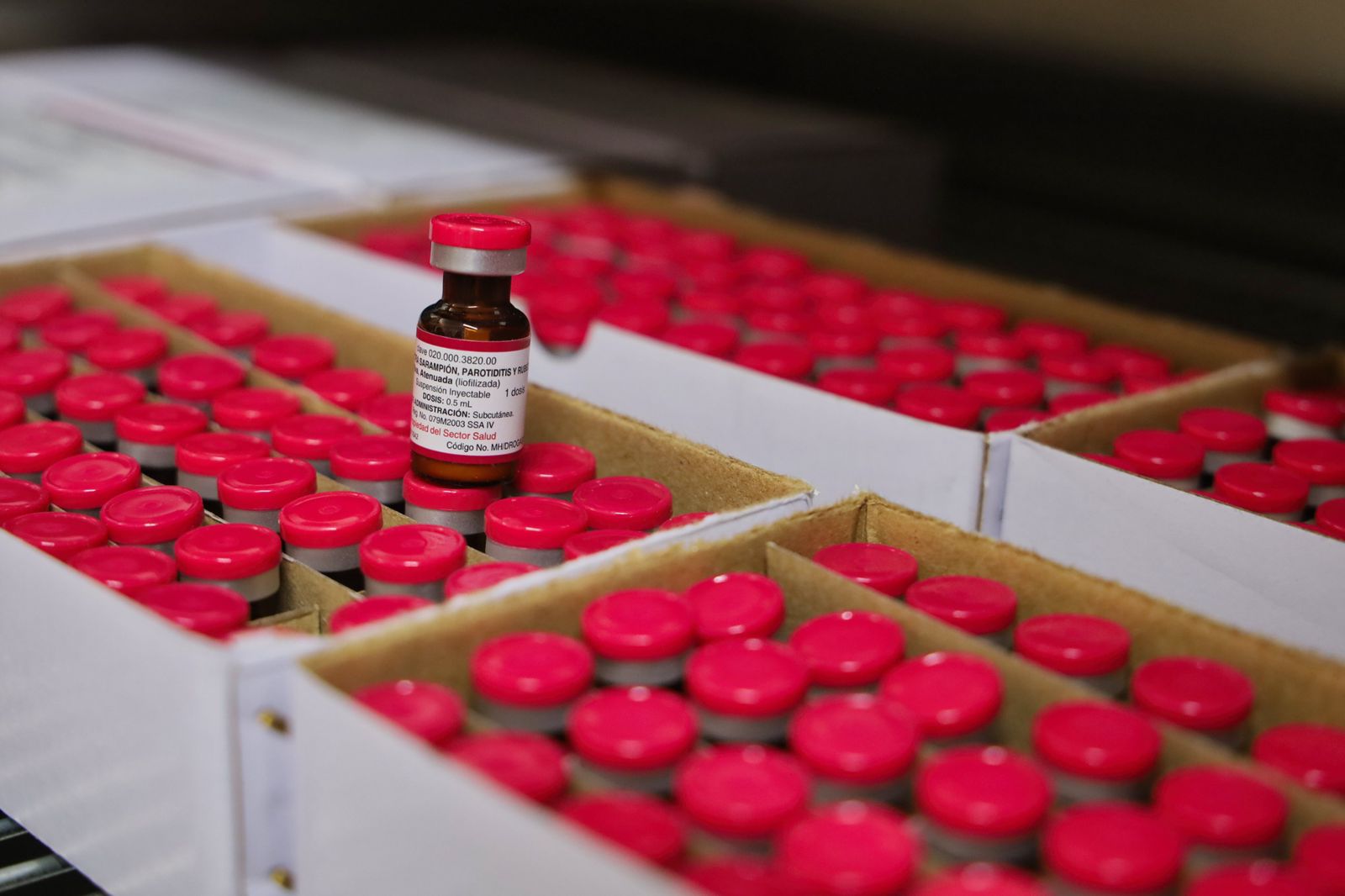 SSM habilitará mega centro de vacunación contra sarampión en Colegio de Morelia