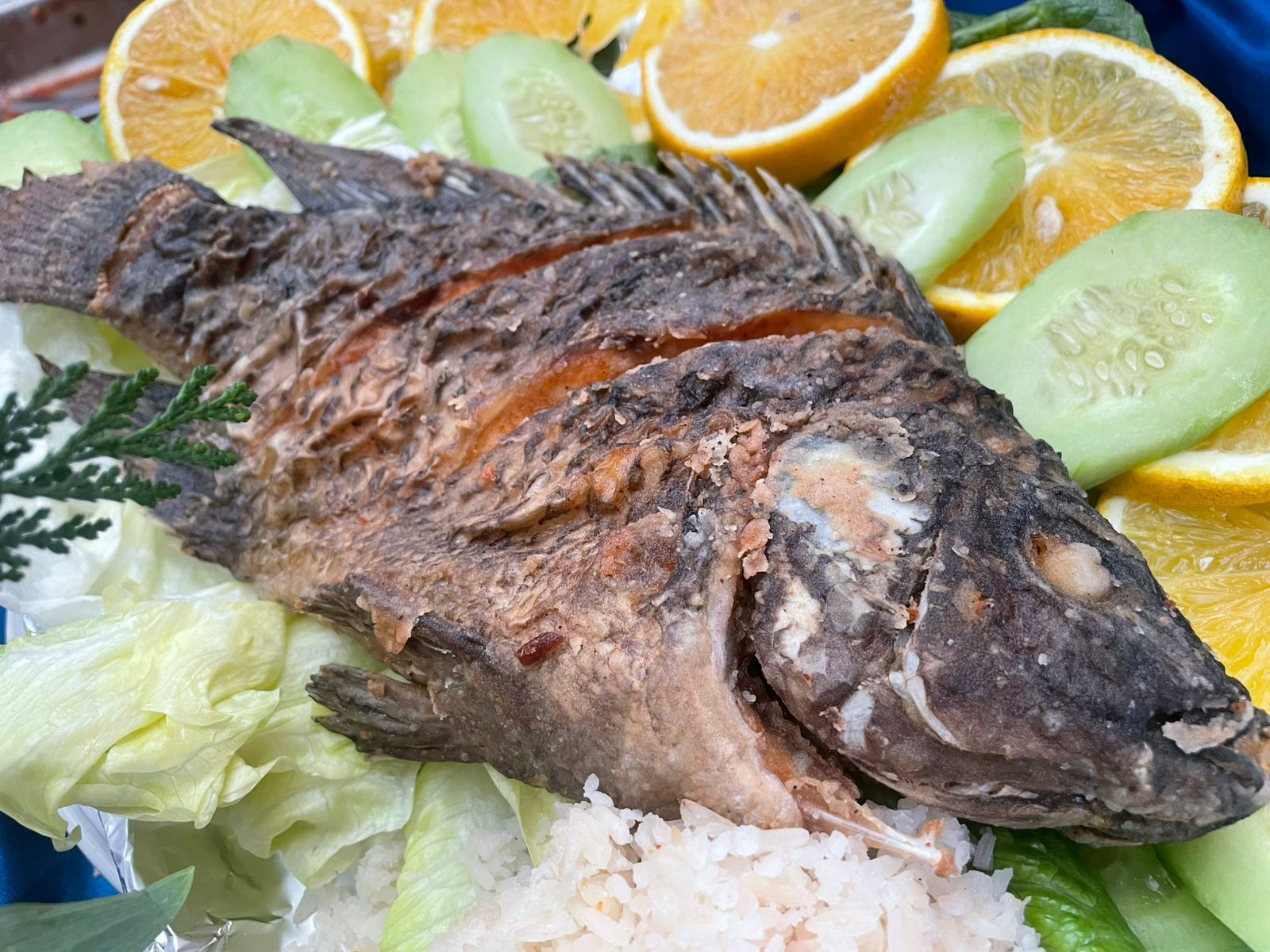 ¿Dónde comprar pescado de calidad y a bajo costo? Compesca inicia Programa de Cuaresma